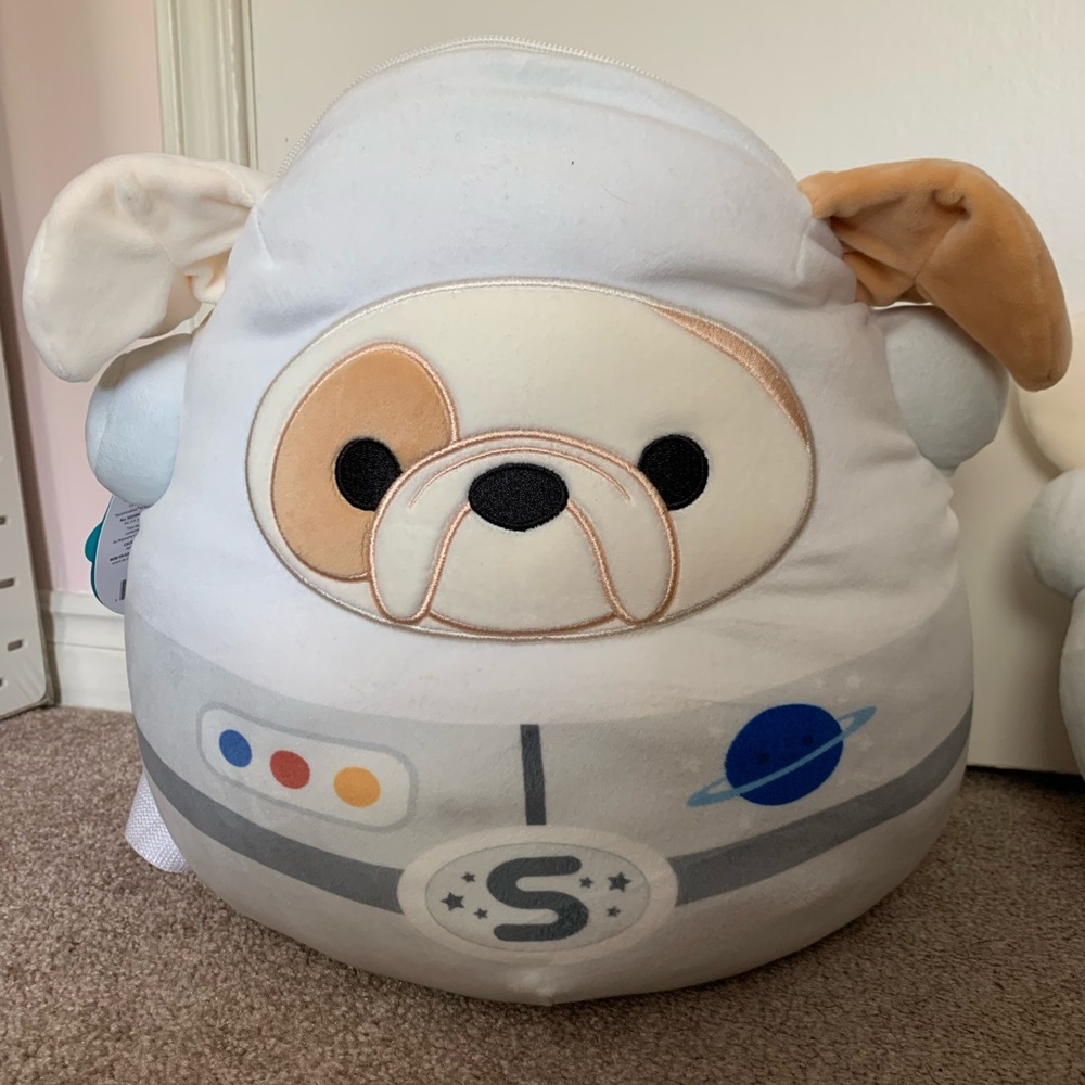 Brock the backpack and neck pillow